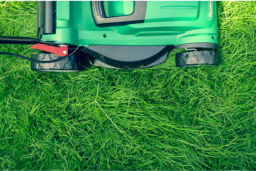 rev-members-expand-incentives-for-electric-lawn-equipment-renewable